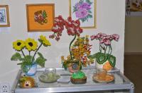 Image-6